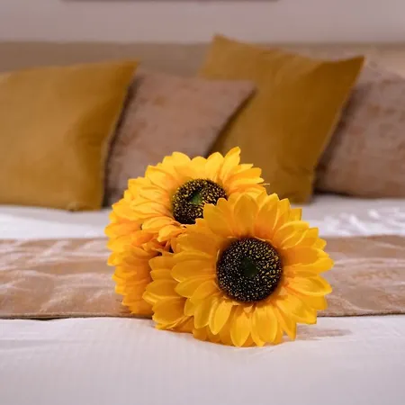 Couette-café Casa Mazzini *